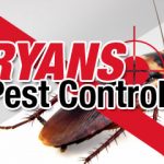 Pest Control Services